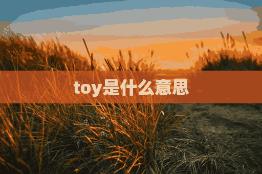 toy是什么意思(Tony是什么意思)